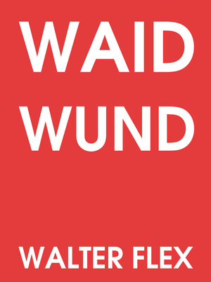cover image of Waidwund